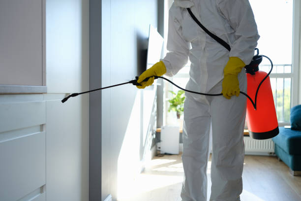 Biohazard Mold Removal in Dunkirk, IN